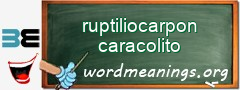 WordMeaning blackboard for ruptiliocarpon caracolito
